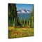 Stupell Industries Alpine Valley Meadow Canvas Wall Art Design by Andrew Kiss